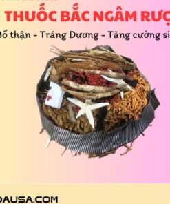 Thuốc bắc ngâm rượu