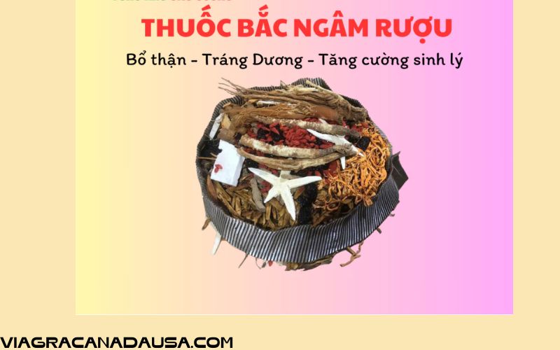 Thuốc bắc ngâm rượu