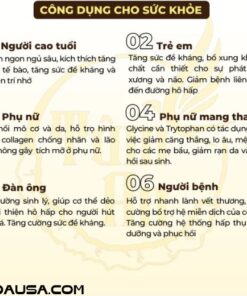 Thuốc Bắc Hầm Gà Combo 10 Nguyên Liệu Cao Cấp