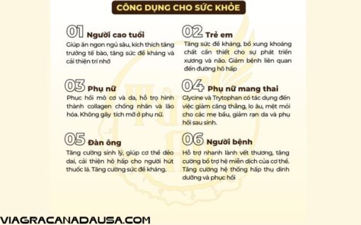 Thuốc Bắc Hầm Gà Combo 10 Nguyên Liệu Cao Cấp