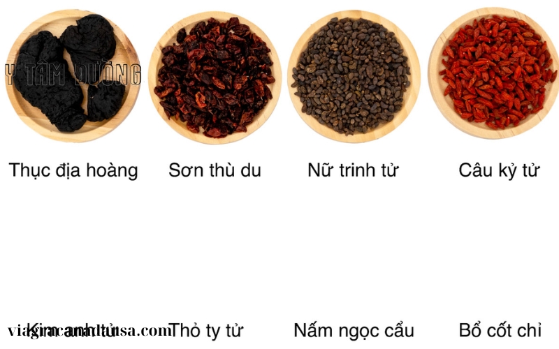 Thuốc bổ thận (2)